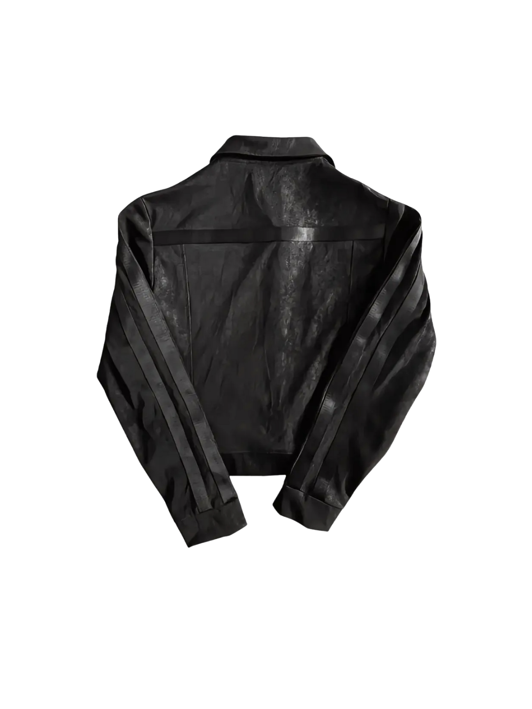 Caged Bird Vein Textured Leather Jacket