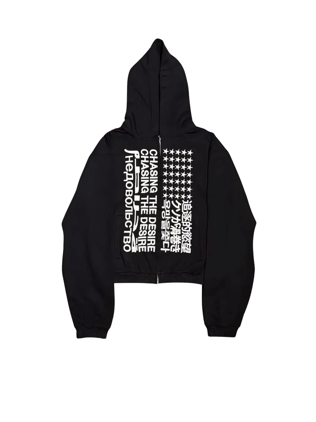 Chasin The Desire Zip Up Hoodie｜DACULT パーカー メンズ レディース｜RYE CHASIN